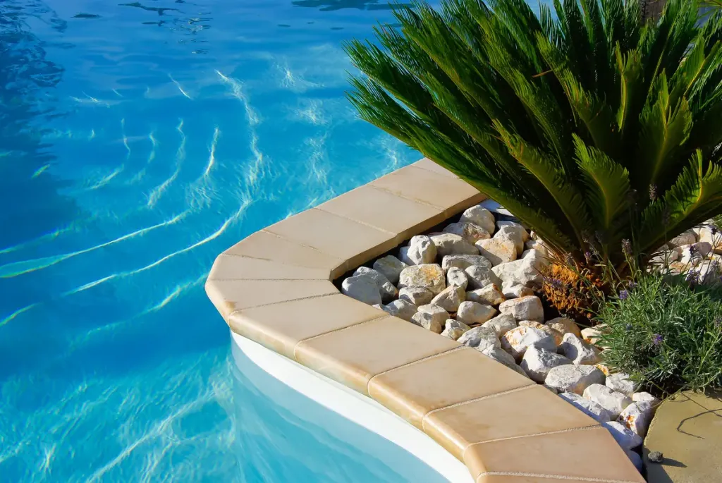 bord de piscine avec plante
